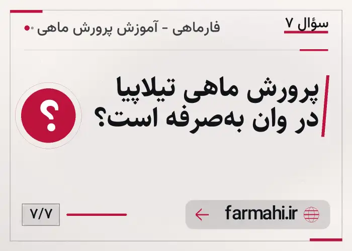 پرورش ماهی تیلاپیا در وان به‌صرفه است؟