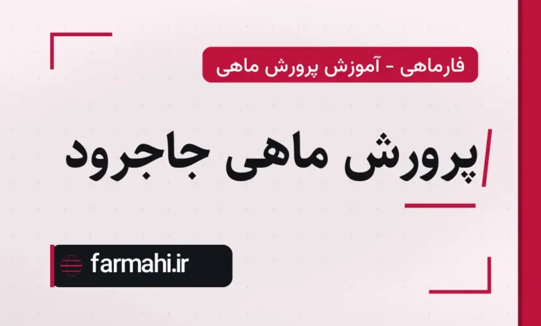پرورش ماهی جاجرود