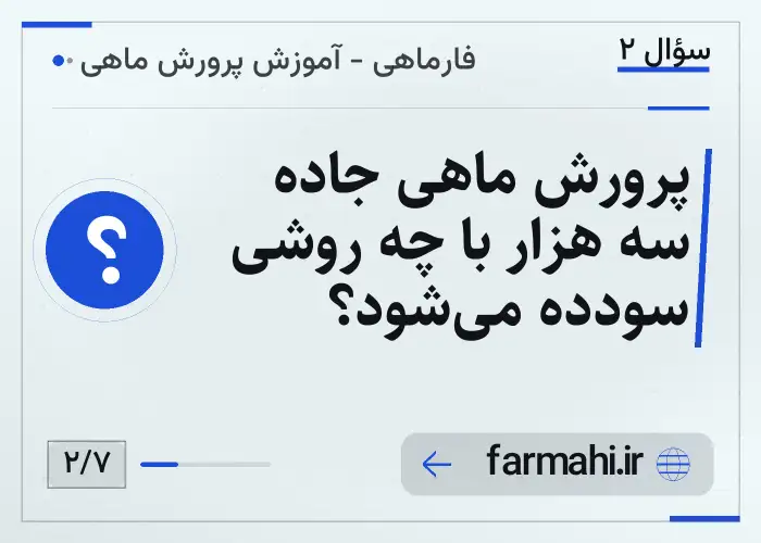 پرورش ماهی جاده سه هزار با چه روشی سودده می‌شود؟