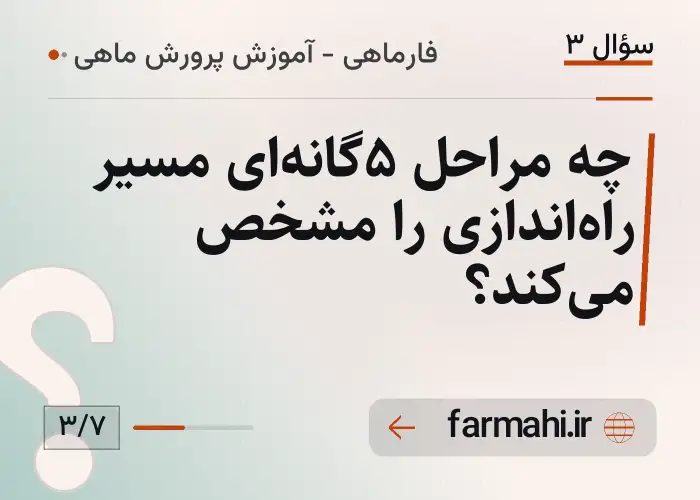 چه مراحل ۵گانه‌ای مسیر راه‌اندازی را مشخص می‌کند؟