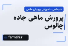 پرورش ماهی جاده چالوس