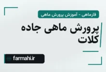 پرورش ماهی جاده کلات