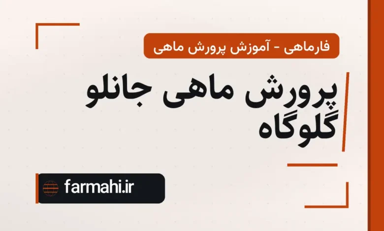 پرورش ماهی جانلو گلوگاه