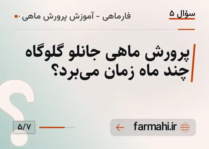 پرورش ماهی جانلو گلوگاه چند ماه زمان می‌برد؟