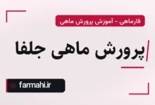 پرورش ماهی جلفا