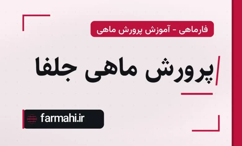 پرورش ماهی جلفا