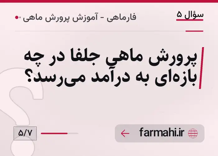 پرورش ماهی جلفا در چه بازه‌ای به درآمد می‌رسد؟
