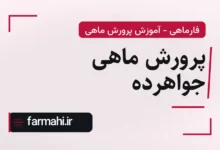 پرورش ماهی جواهرده