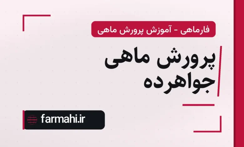 پرورش ماهی جواهرده