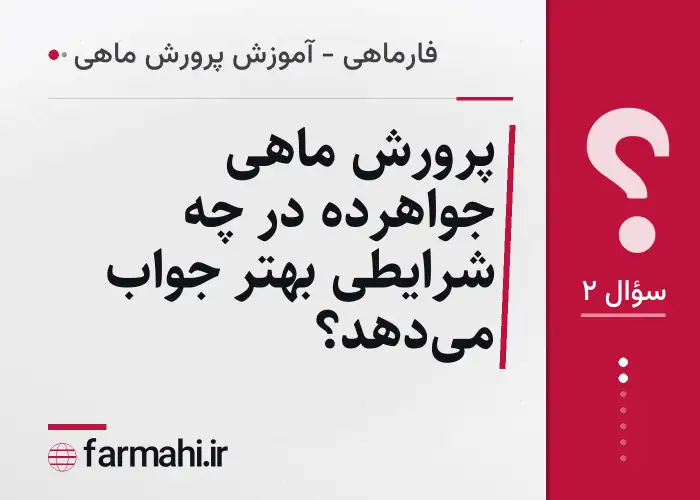 پرورش ماهی جواهرده در چه شرایطی بهتر جواب می‌دهد؟