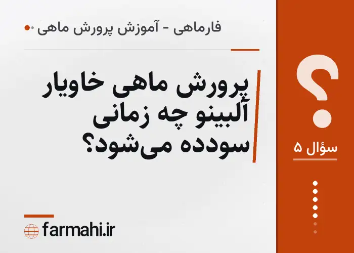 پرورش ماهی خاویار آلبینو چه زمانی سودده می‌شود؟
