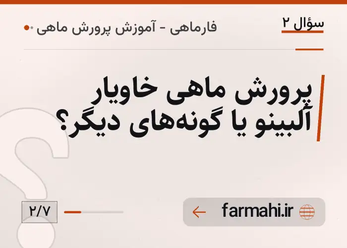 پرورش ماهی خاویار آلبینو یا گونه‌های دیگر؟