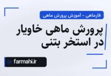 پرورش ماهی خاویار در استخر بتنی
