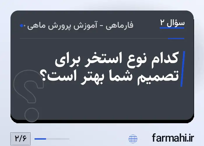 کدام نوع استخر برای تصمیم شما بهتر است؟