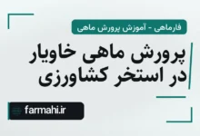 پرورش ماهی خاویار در استخر کشاورزی