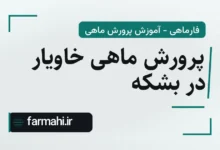 پرورش ماهی خاویار در بشکه