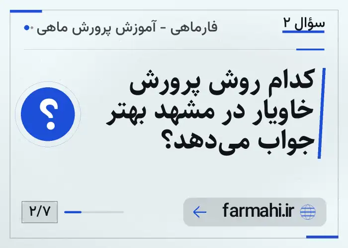 کدام روش پرورش خاویار در مشهد بهتر جواب میدهد؟