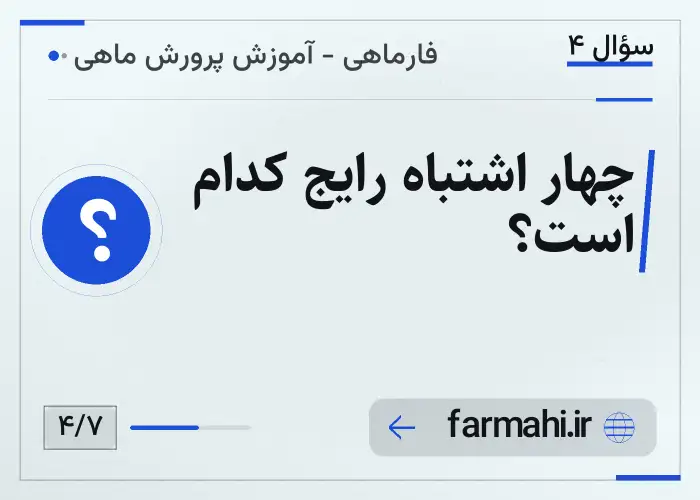 چهار اشتباه رایج کدام است؟