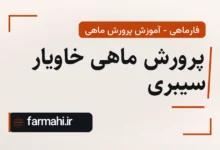 پرورش ماهی خاویار سیبری