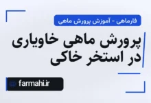پرورش ماهی خاویاری در استخر خاکی