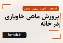 پرورش ماهی خاویاری در خانه