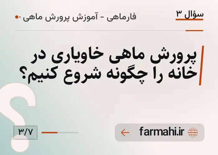 پرورش ماهی خاویاری در خانه را چگونه شروع کنیم؟