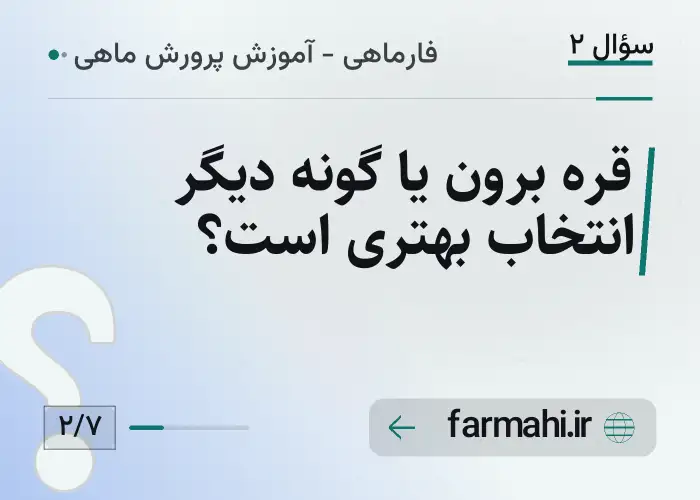 قره برون یا گونه دیگر انتخاب بهتری است؟