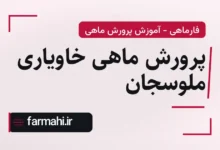 پرورش ماهی خاویاری ملوسجان