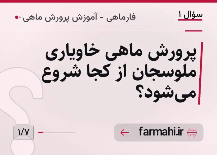 پرورش ماهی خاویاری ملوسجان از کجا شروع می‌شود؟