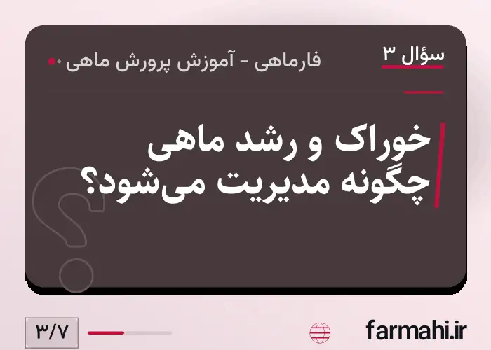 خوراک و رشد ماهی چگونه مدیریت می‌شود؟