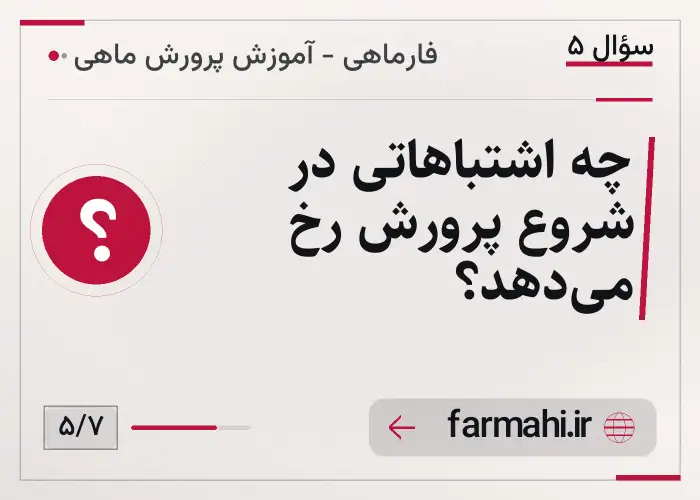 چه اشتباهاتی در شروع پرورش رخ می‌دهد؟