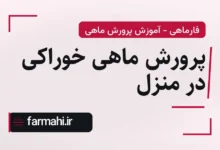پرورش ماهی خوراکی در منزل