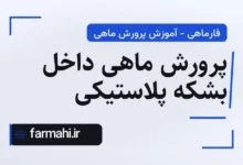 پرورش ماهی داخل بشکه پلاستیکی