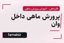 پرورش ماهی داخل وان