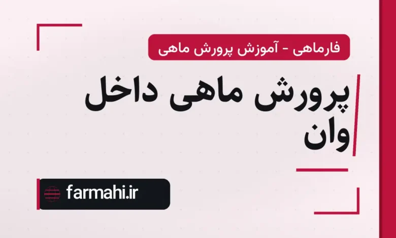 پرورش ماهی داخل وان