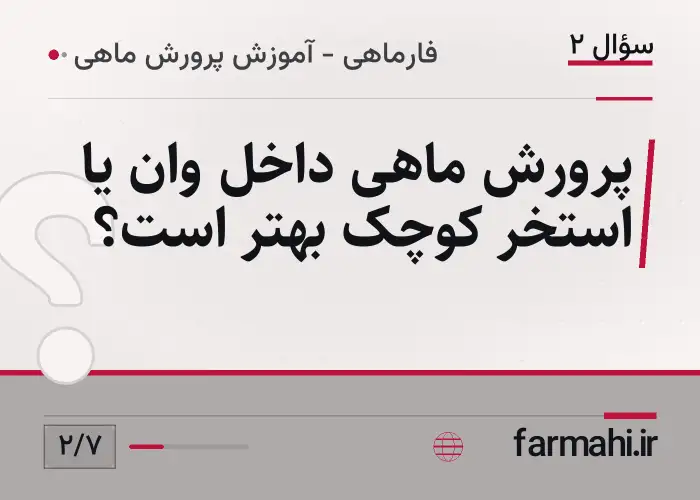 پرورش ماهی داخل وان یا استخر کوچک بهتر است؟