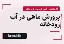 پرورش ماهی در آب رودخانه