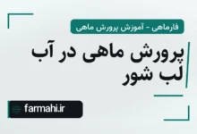 پرورش ماهی در آب لب شور