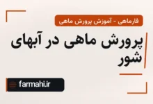پرورش ماهی در آبهای شور