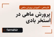 پرورش ماهی در استخر بادی