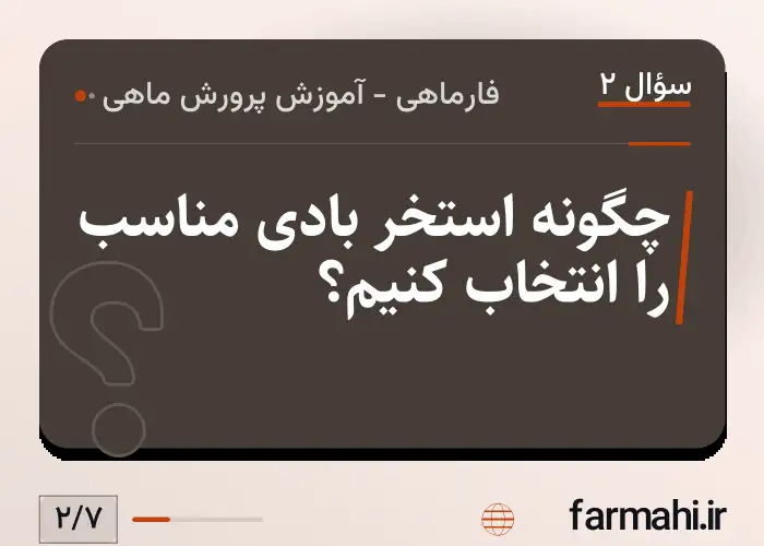 چگونه استخر بادی مناسب را انتخاب کنیم؟