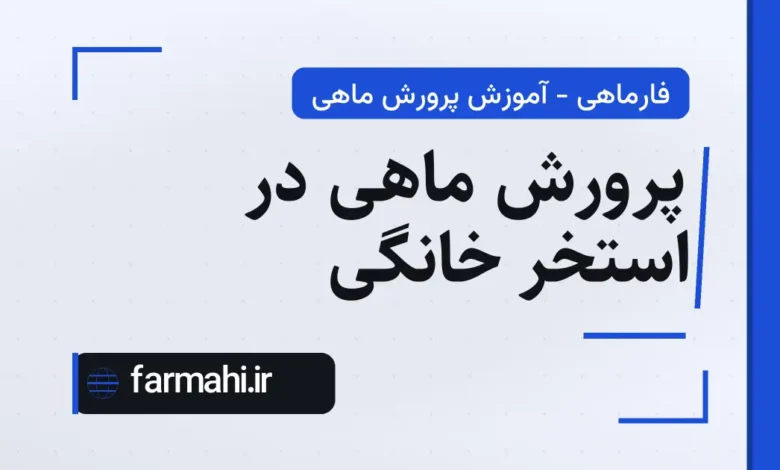 پرورش ماهی در استخر خانگی