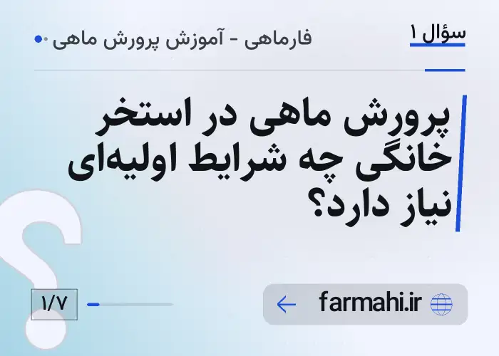 پرورش ماهی در استخر خانگی چه شرایط اولیه‌ای نیاز دارد؟