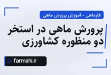 پرورش ماهی در استخر دو منظوره کشاورزی
