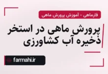 پرورش ماهی در استخر ذخیره آب کشاورزی