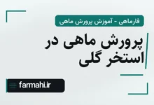 پرورش ماهی در استخر گلی