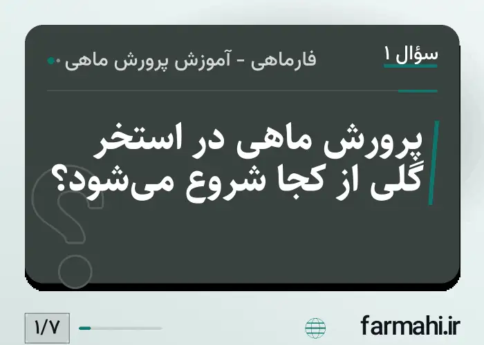پرورش ماهی در استخر گلی از کجا شروع می‌شود؟