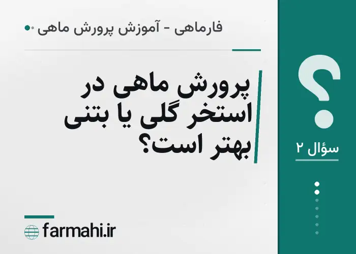 پرورش ماهی در استخر گلی یا بتنی بهتر است؟