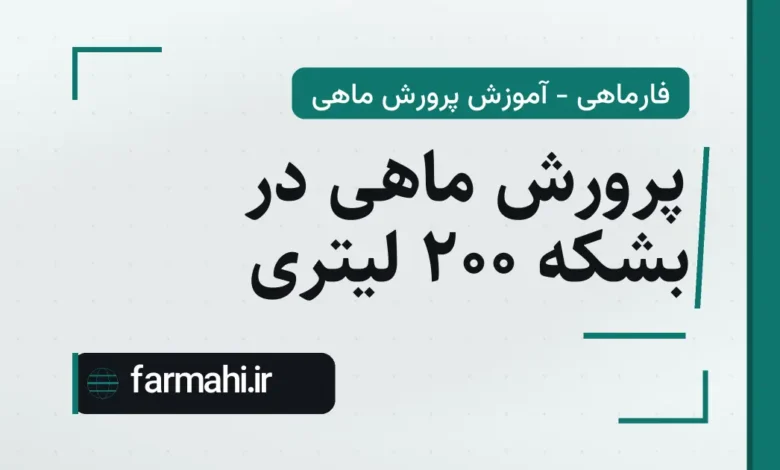 پرورش ماهی در بشکه ۲۰۰ لیتری