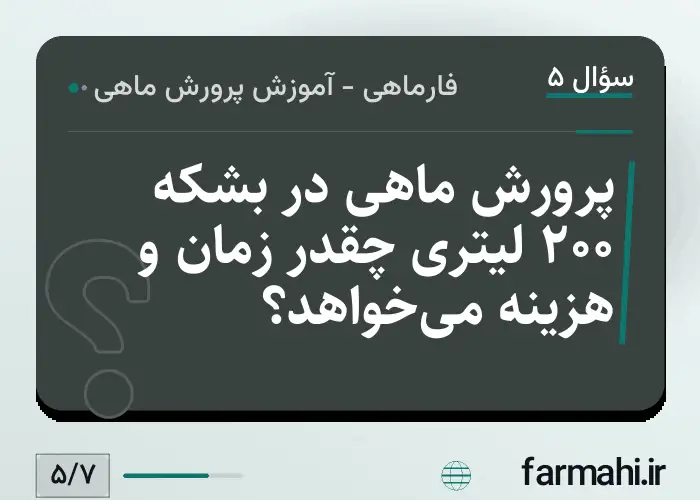 پرورش ماهی در بشکه ۲۰۰ لیتری چقدر زمان و هزینه می‌خواهد؟